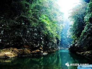 张家界天门山森林公园·大峡谷玻璃桥汽车三日游 畅游自然奇观中的科学管理之道