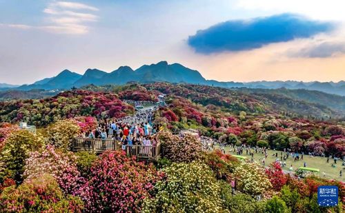 快出发，这些地方陆续美成仙境——游览景区管理新探