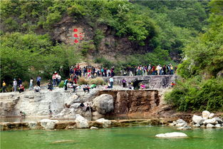 云台山与巅峰智业携手 共筑中国5A景区管理新标杆
