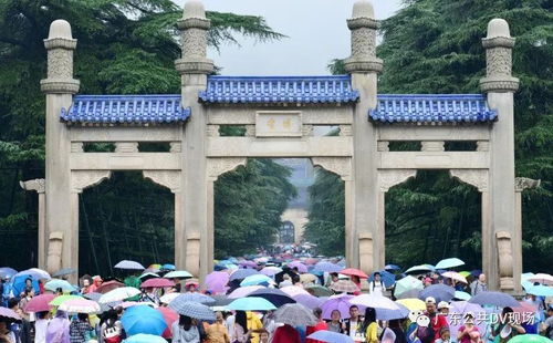 别让“人人人”毁了风景 景区管理如何破局？